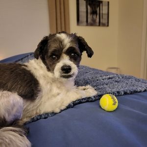 Meet your Posher, Келли